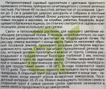 Флокс Друммонда Изабеллина 0,1 г СМЦ-273