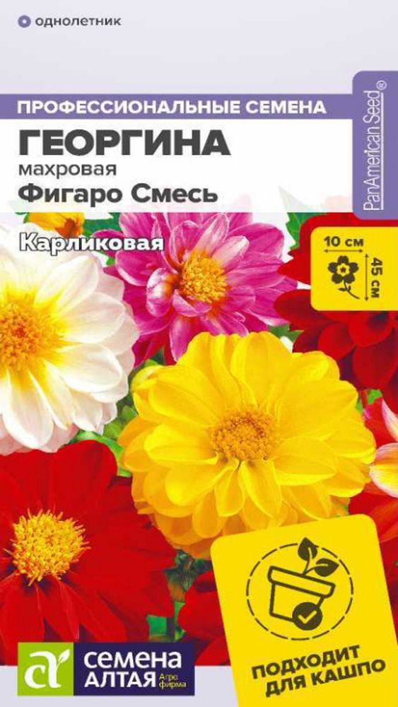 Георгина махровая &quot;G. Фигаро Смесь&quot; 5шт., Россия.
