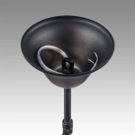 Подвесная люстра Lumion NANA 8106/8