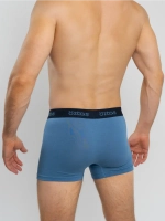 Трусы A1710-ДЖ