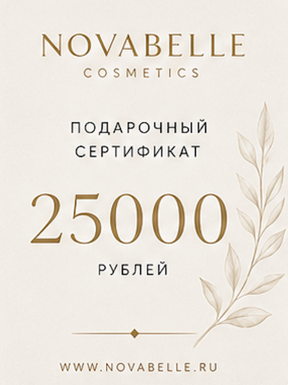 Подарочный сертификат — 25 000 ₽
