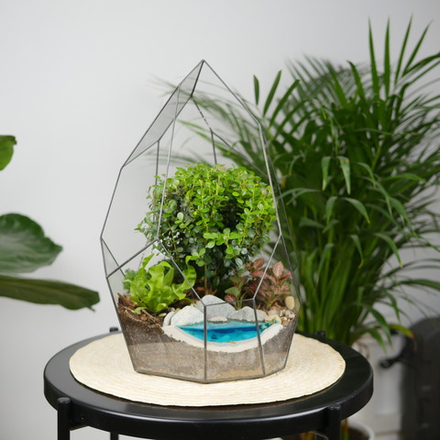 Готовый флорариум бонсай Мирсина Айсберг с озером