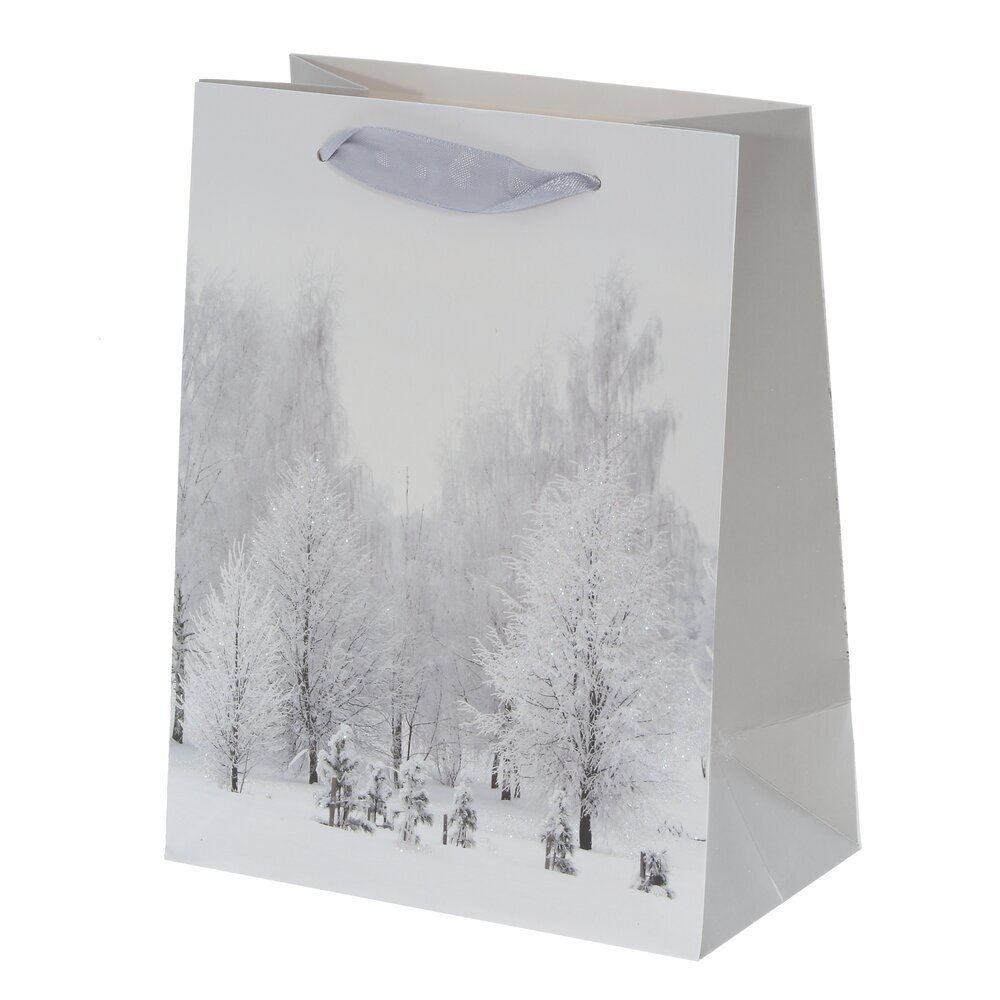 GAEM Пакет подарочный (бумага, плотность 210г/м2, блок микс 12шт), L18 W10 H23 см, 4в.