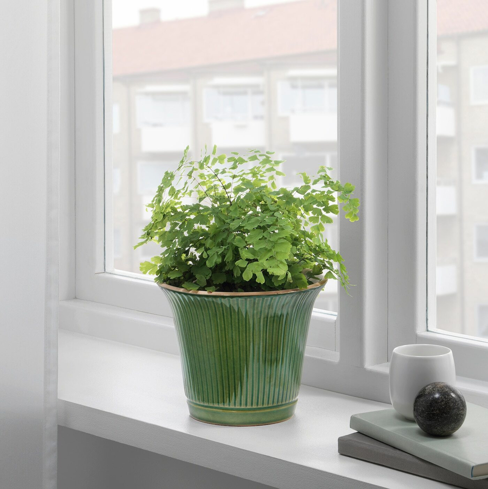 IKEA KAMOMILL  (ИКЕА КАМОМИЛЛ)  -  Крышка для цветочного горшка, зеленая, закрытая/открытая, 15 см