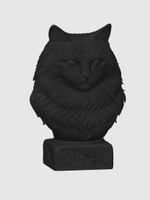 Норвежская Лесная Кошка