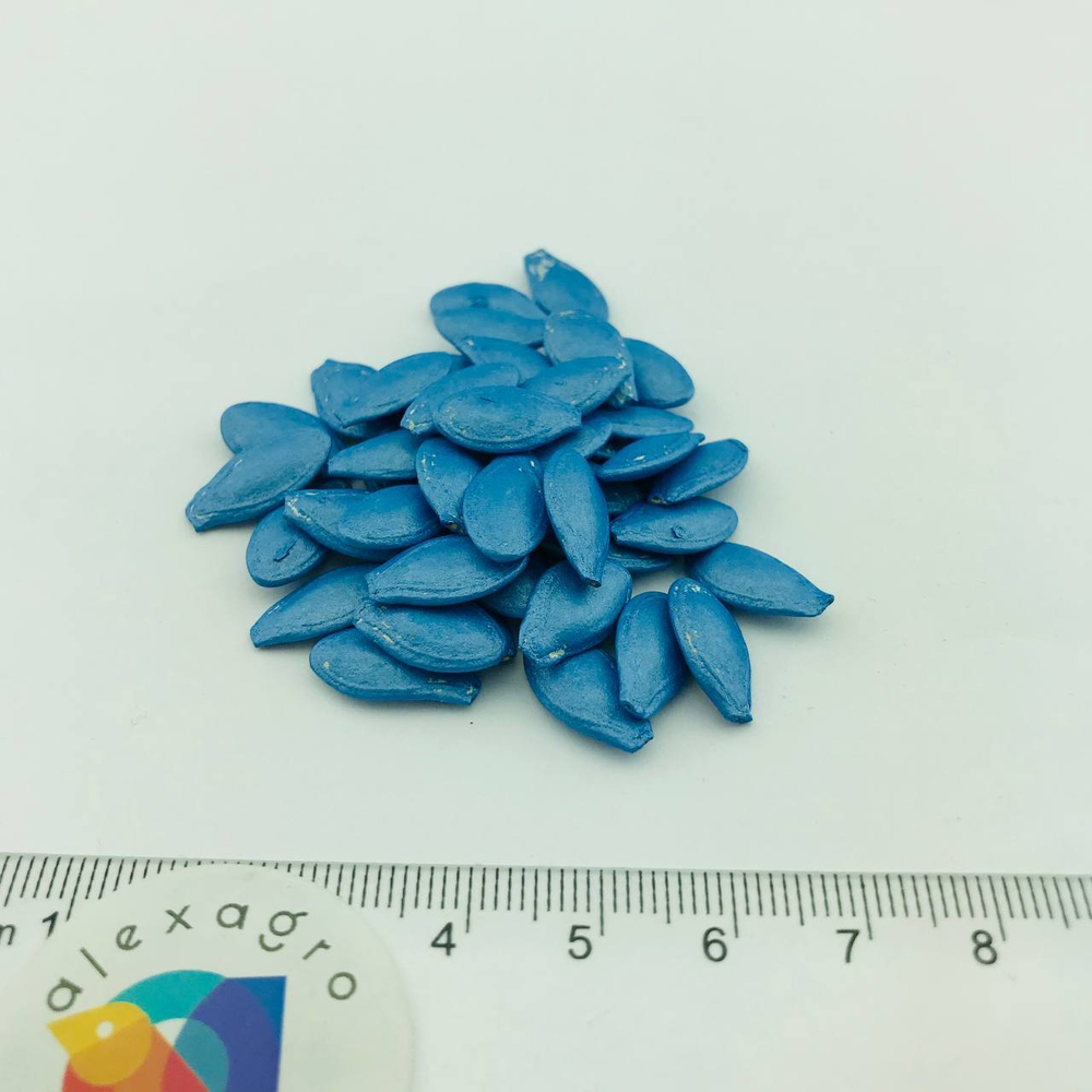Ясмин F1 семена кабачка (Sakata / ALEXAGRO) семена