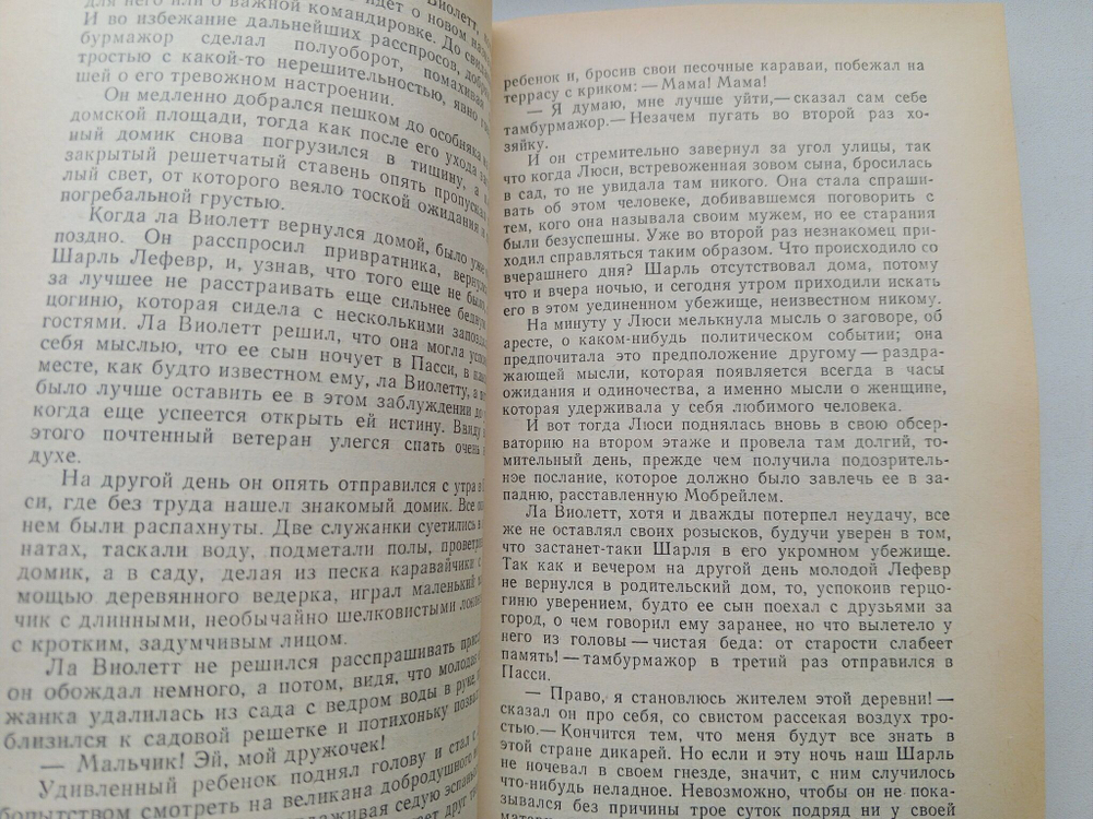 Тайна Наполеона. Книга 4 (Мученик англичан. Наследник великой Франции)