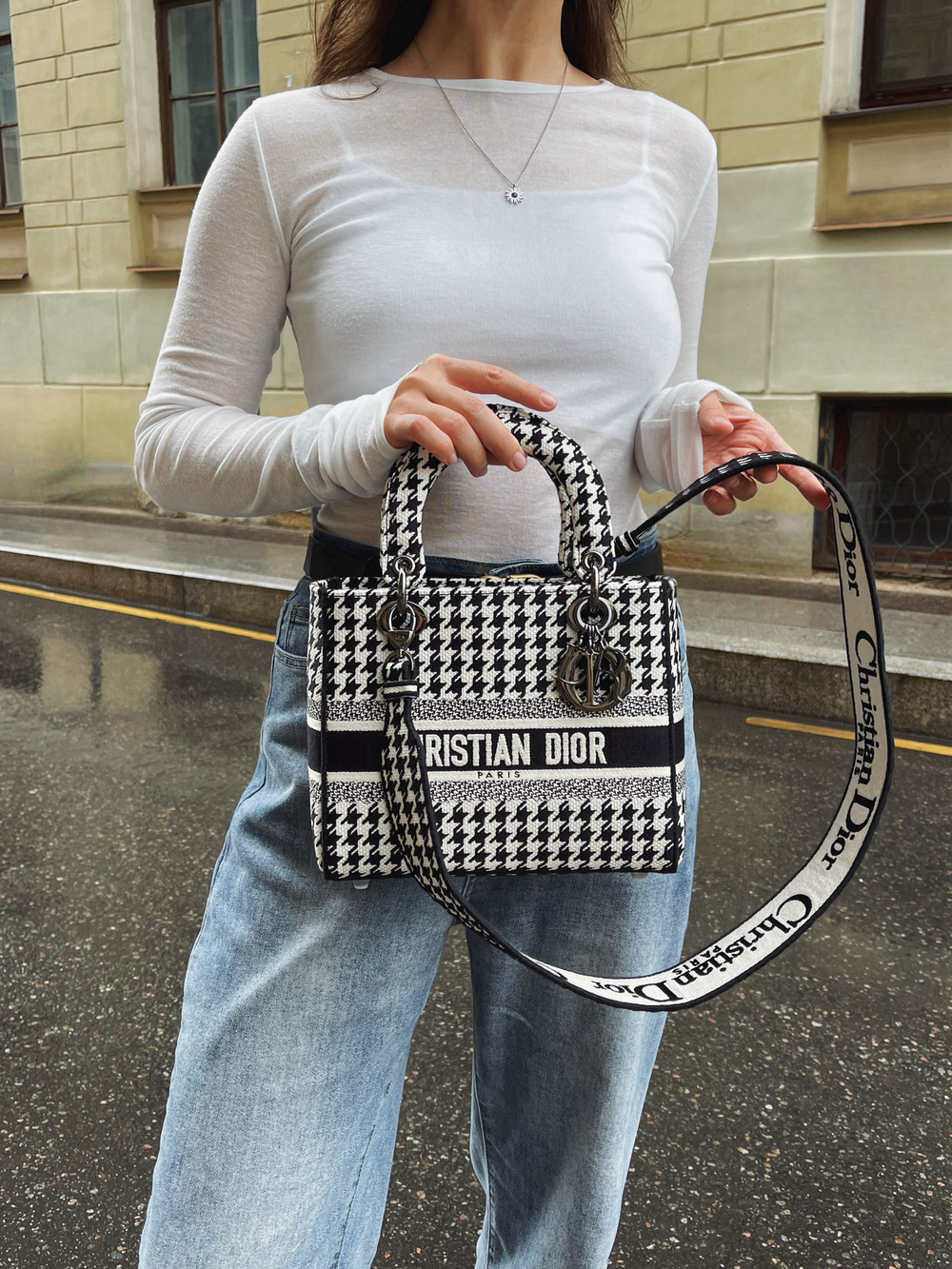 Dior Lady