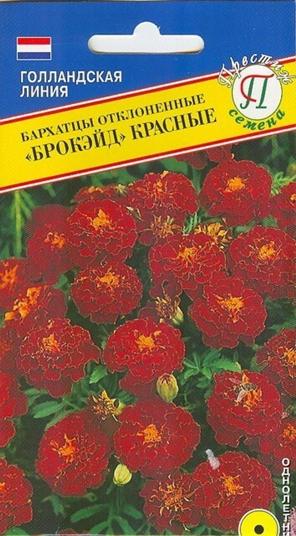 Бархатцы Брокэйд красные