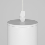 Подвесной светильник Maytoni P075PL-01W