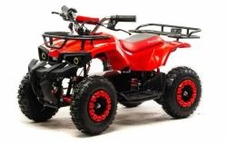 Электроквадроцикл Motoland ATV E008 800Вт