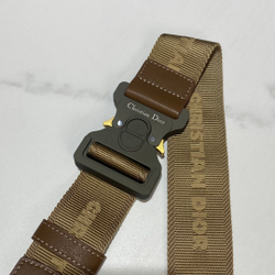 Christian Dior Saddle 26 cm