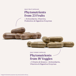 Natrol, JuiceFestiv®, 2 флакона, по 60 капсул