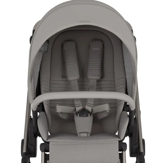 Коляска ANEX Eli 2 в 1 Santal