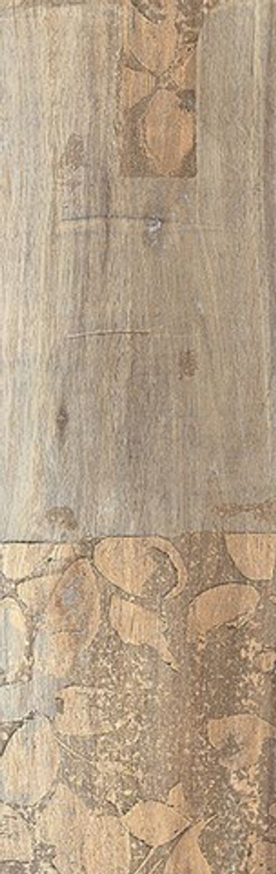 Керамогранит Floralwood глаз. бежевый (C-FW4M012D)