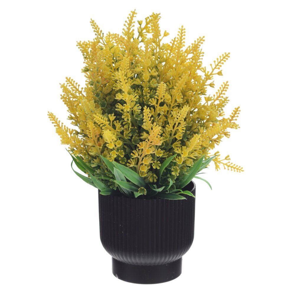 GAEM Цветочная композиция, L20 W20 H25 см