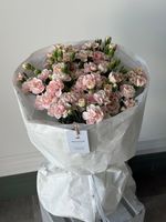 Моно букет из кустовых диантусов в нежно розовом оттенке 35 шт