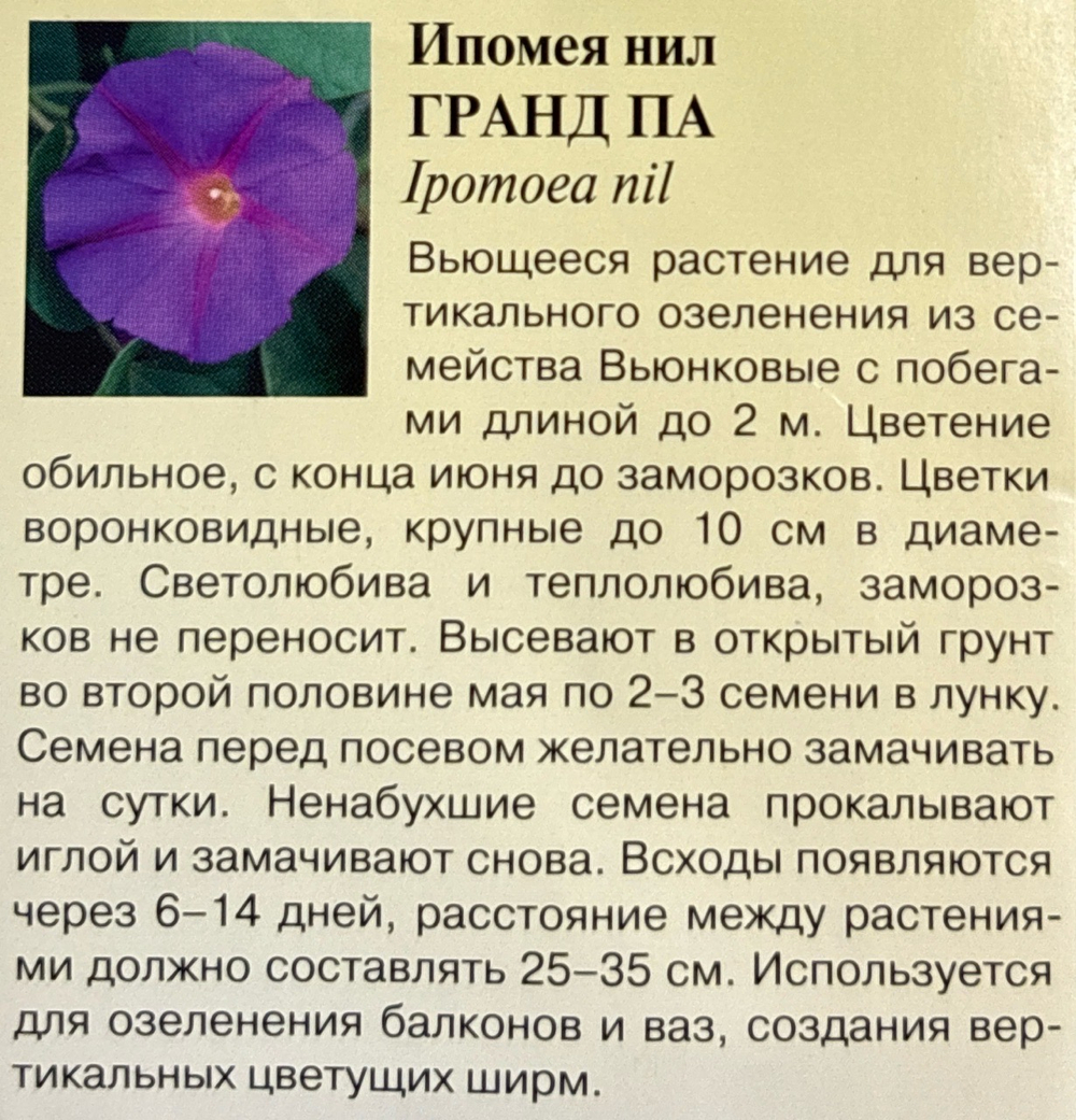 Ипомея Гранд Па 0,5 г СМЦ-515