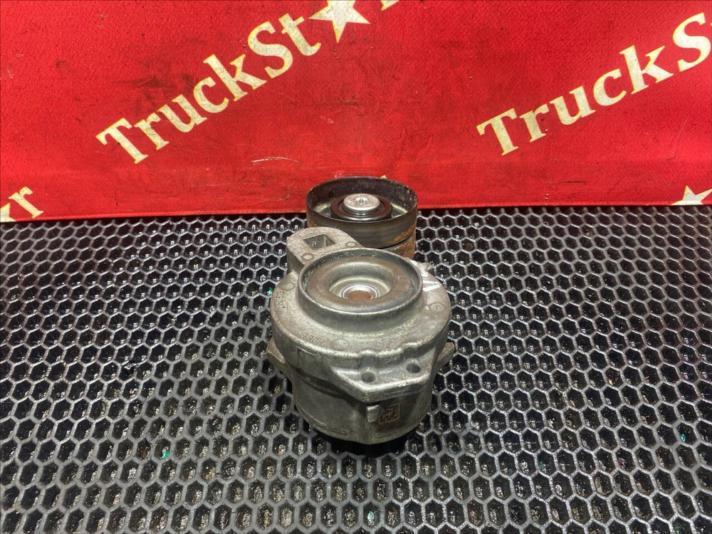 Ролик-натяжитель 2019г