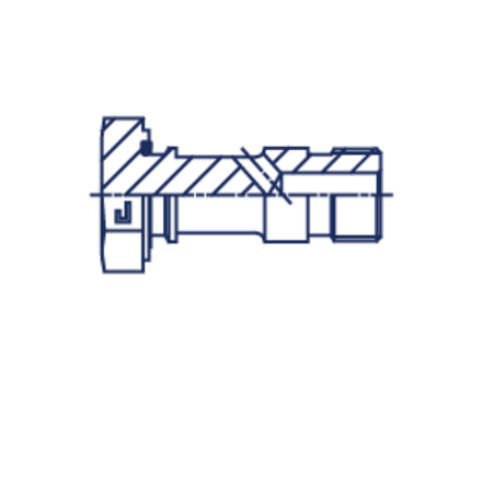 Болт BANJO 22x1.5