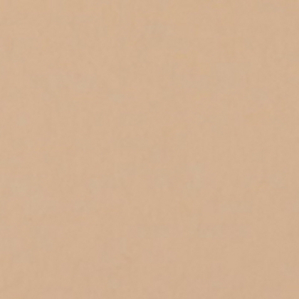 Фон бумажный FST 2,72х11 1038 Pongee (Песочный)