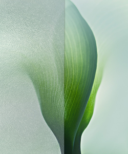 Коллекция FRAME 19