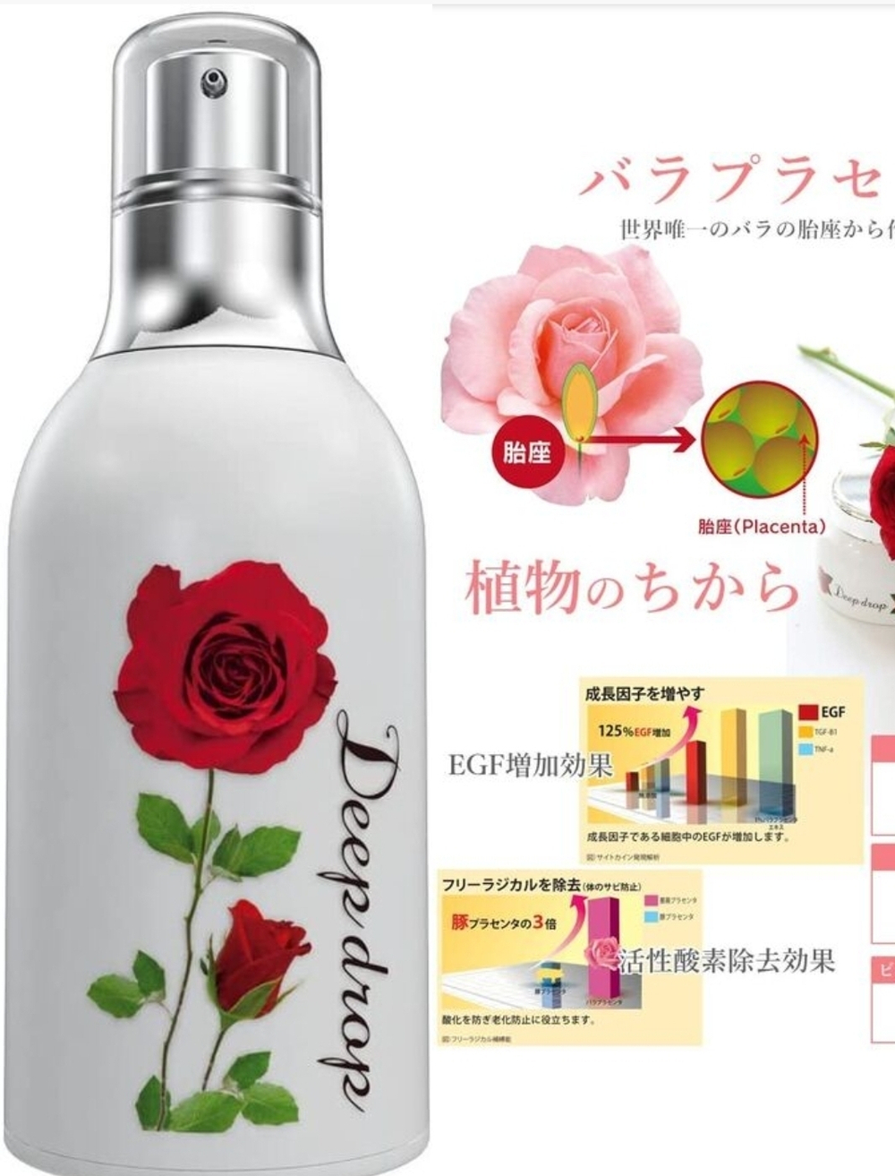 CHIECO Deep Drop Lotion - увлажняющий лосьон интенсивного ухода