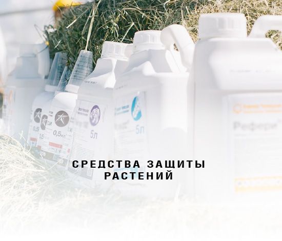 Баннеры Блок 16