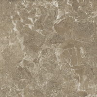 Saloni brown PG 03 v2 450х450 (1-й сорт)