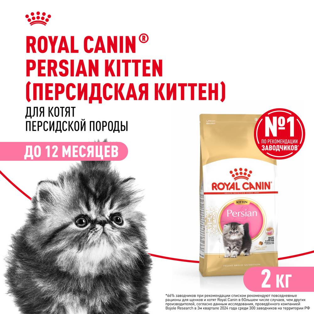 Royal Canin Persian Kitten Корм сухой сбалансированный для персидских котят 2 кг