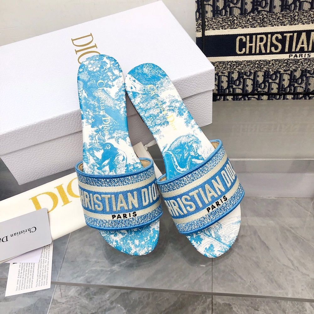 Christian Dior Dway Slide