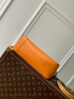 Louis Vuitton Dauphine Soft MM