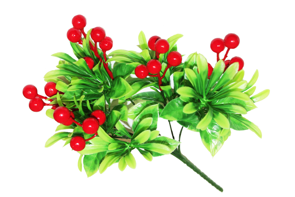 Ветка зелени с ягодой