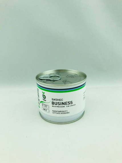 Бизнес семена салата айсберг (Bejo / Бейо) упаковка 10 000 штук – фото 4