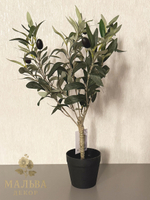Олива в кашпо 15x15x50 см