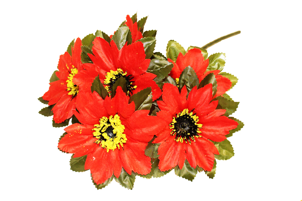 Букет георгинов с пыльцой