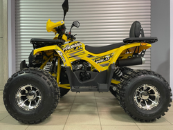 Квадроцикл PROMAX WILD 2.0 190 PRO (2025)
