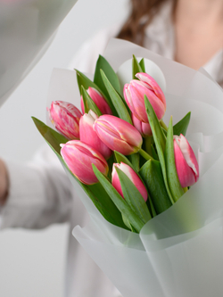 Тюльпаны микс