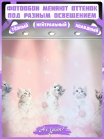3D детские фотообои одуванчики и милые коты