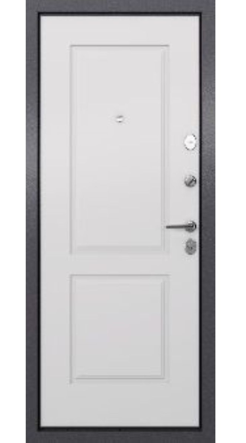 Дверь Tau LT PP-1 Torex