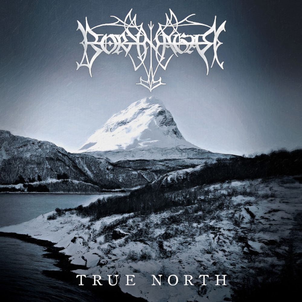 Borknagar / True North (CD)