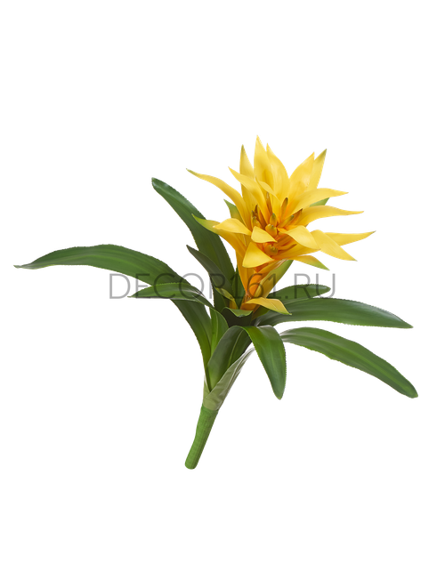 Гусмания желтая большая в-40, д-55 см 8/32 20.03110120YL