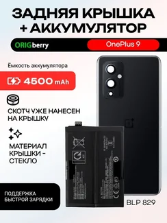 Комплект аккумулятор и задняя крышка (Черная) Astral black для смартфона OnePlus 9