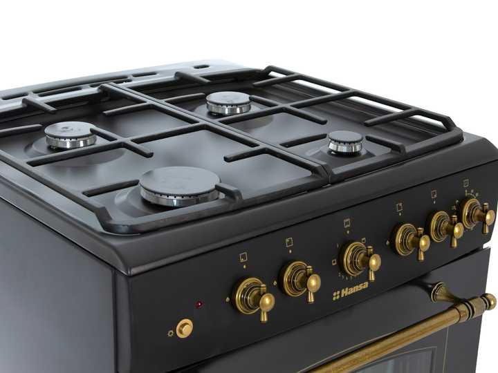 Газовая плита Hansa FCGA62109