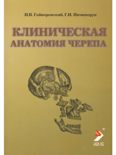 Клиническая анатомия черепа