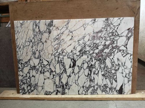 Каллаката Виола