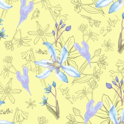 Пролеска двулистная