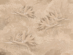 Коллекция BIRDLY