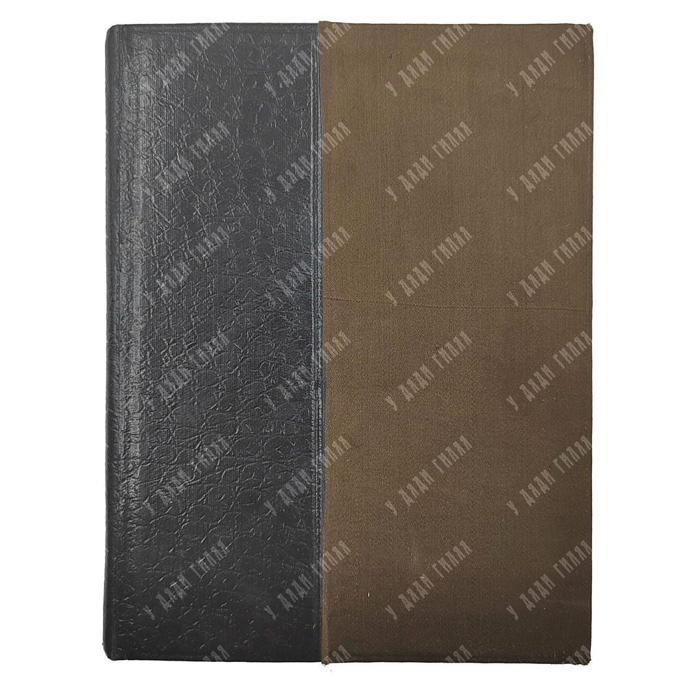 [Прижизненное издание]. Черный С. [Сатиры в 2-х книгах], 1917.