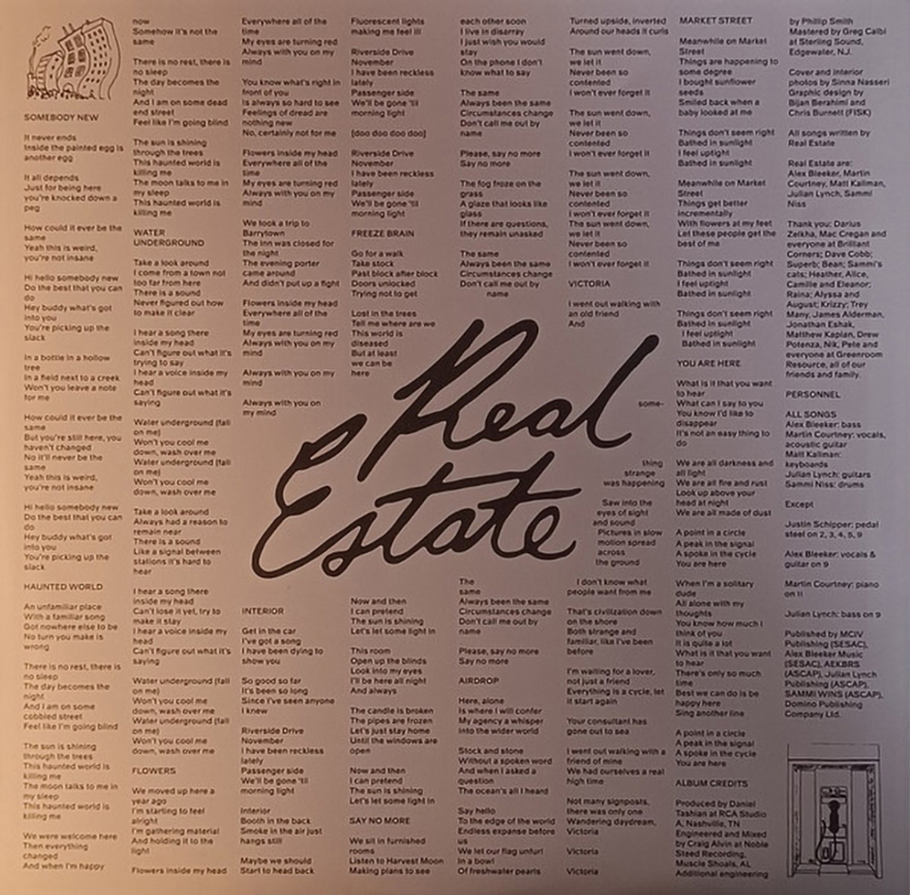 Real Estate / Daniel (Coloured Vinyl)(LP)